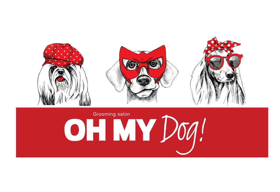 Oh My Dog! grooming salon — three stylish dogs wearing hats, a mask and sunglasses